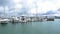 Westhaven marina against Auckland Harbor bridge New Zealand