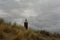 Westhoofd lighthouse in Ouddorp behind the dunes with dark cloudy skies