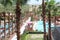 The Westin Lake Las Vegas Resort and Spa: Pools