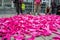 WESTMINSTER, LONDON - 23 April 2023: 20,000 Extinction Rebellion paper boats outside the Home Office in support of migrants