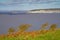 Weston-super-Mare coastline from Brean Down