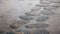 Wet aged stones of footpath in the rain