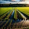 WET AGRICULTURE FIELD WITH WATER PUDDLES AND MUD AFTER RAIN, FARMLAND LANDSCAPE, AGRICULTURAL BACKGROUND made with