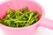 Wet arugula in pink colander