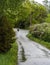 wet asphalt narrow path after rain