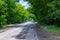 on a wet asphalt road, through the forest forming green arches from the branches, a white minibus leaves