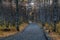 Wet asphalt road leading through autumn forest in vibrant colors on a rainy day. Moist paved road in the embrace of lush forest