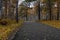 Wet asphalt road leading through autumn forest in vibrant colors on a rainy day. Moist paved road in the embrace of lush forest