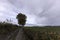 Wet autumnal day in agricultural landscape of Gulpen, South Limburg, The Netherlands