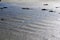 Wet beach patterns in sand by Pacific Ocean