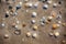 Wet beach sand with seashells background