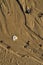 Wet beach sand texture pebbles shell background