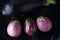 Wet black and purple striped eggplants closeup