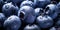 Wet Blueberries Pile. Ripe Raw Berry Heap. Dark Food Background. Healthy Eating. Generative AI