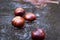 Wet brown chestnuts in autumnal rain forest on asphalt road