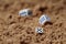 In wet brown sand the dice are three pieces