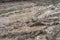 Wet clay field with mud and puddles of water