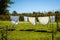 Wet clothes drying in the rope line