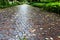 Wet cobble stone path in parco dell arena, Padua