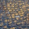 Wet cobblestones reflect the sun
