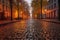 wet cobblestones reflecting warm sunrise colors