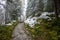 wet damp hiking tourist trail with snow leftovers on the sides