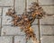 Wet decomposed leaves on a brick surface