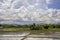 Wet dirt land and rice plantation with flooding with mountain with blue sky and white cloud in background, Beautiful reflection on