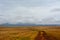 A wet dirt road leads into the Prescott Valley Landscape