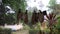 Wet dirty socks hanging and drying on clothesline against heavy tropical rain