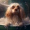 Wet dog sits in a bath in soapy foam with bubbles