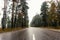 Wet empty asphalt road through forest in foggy rainy autumn day, highway in rural landscape