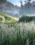 Wet Grass with Dew in The Morning with Blur Mountain and Green Grass Field In The Background. Selective Focus.