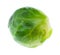 Wet green ripe brussels sprout isolated on white