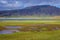 Wet meadow in Iceland