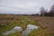 Wet meadow path in Czechia