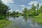 Wet meadow and riparian forest oxbow lake. Vistula Valley. Spring