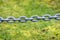 Wet metal chain links section against a exterior blurred green background