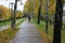 Wet narrow bike path with yellow stripes and fallen leaves in a Park