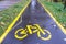 Wet narrow bike path with yellow stripes and fallen leaves in a Park