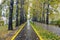 Wet narrow bike path with yellow stripes and fallen leaves in a Park