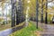 Wet narrow bike path with yellow stripes and fallen leaves in a Park