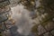 Wet old pavement with puddle and autumn leaves