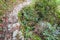 wet path on mountain slope in Dazhai country