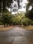 Wet path in Quinta da Boa Vista Rio de Janeiro Brazil.