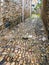 wet pavement of narrow street in Treguier