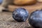 Wet purple plum on the table, fresh harvest