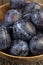 Wet purple plum on the table, fresh harvest