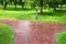 Wet after rain crossing a pedestrian footpath in a park.