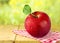 Wet red apple on table background